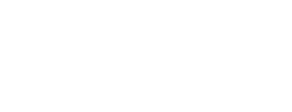 Rogo