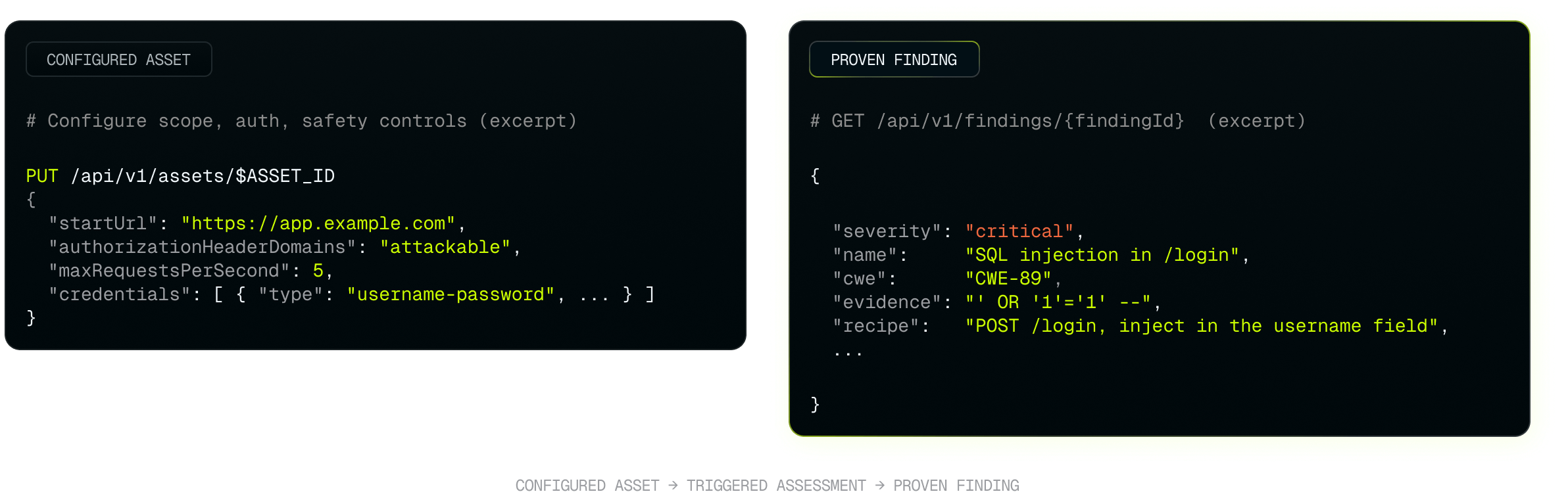 Everything XBOW Finds and Proves, Through One API.